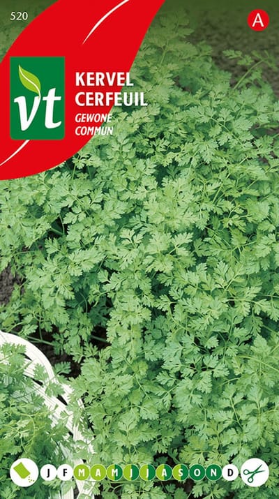 Facelia Zaden - Ideaal voor Bijen en Natuurlijke Bodemverbetering