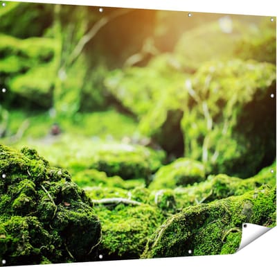Gards Tuinposter Groen Mos Bedekt over Stenen - 150x120 cm - Tuindoek - Tuindecoratie - Wanddecoratie buiten - Tuinschilderij