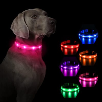 Lichtgevende Hondenhalsband – LED Halsband – Honden Halsband - dieren gadget accessoire