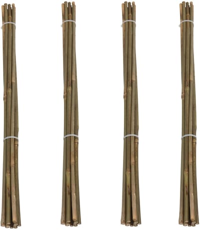 Pro Garden Plantenstokken - 40x - bamboe - H60 cm - plantensteun - bamboestokken/tonkinstokken