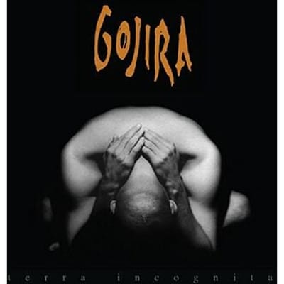 Terra Incognita - Gojira