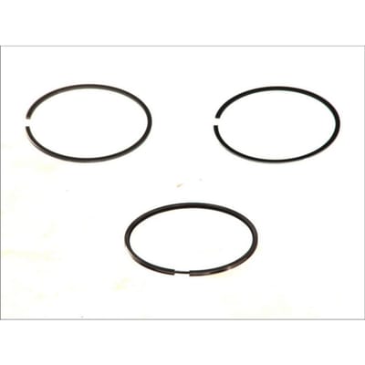 Zuigerveren set MAHLE 629 20 V0