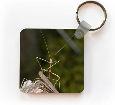 Sleutelhanger - Uitdeelcadeautjes - Een wandelende tak zit op een stuk hout - Plastic