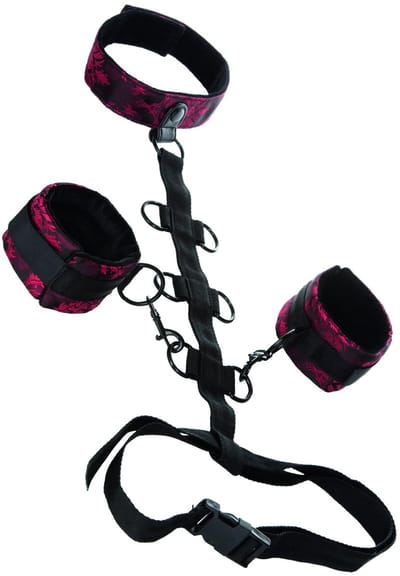Calexotics - Scandal Comporal Ondersteuning With Neck