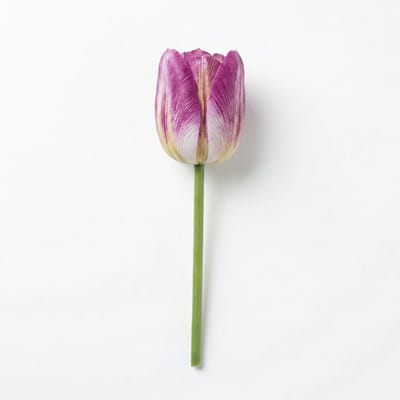 Florafy Kunstbloem Tulp - Kunstbloemen voor binnen - Onderhoudsvrij