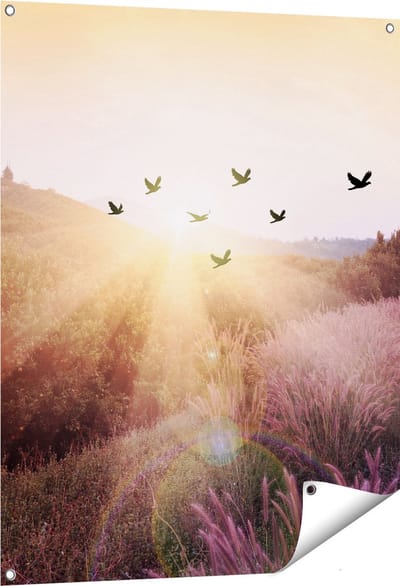 Gards Tuinposter Silhouet Zwerm Vogels bij Zonsondergang - 80x100 cm - Tuindoek - Tuindecoratie - Wanddecoratie buiten - Tuinschilderij