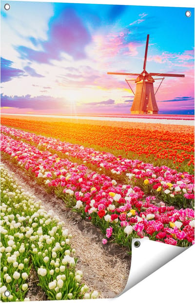 Gards Tuinposter Kleurrijke Bloemenveld met een Windmolen - 60x80 cm - Tuindoek - Tuindecoratie - Wanddecoratie buiten - Tuinschilderij