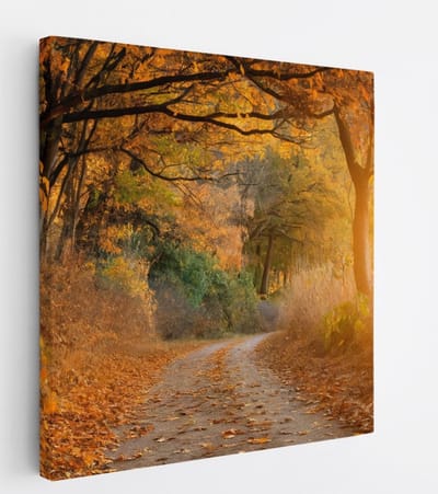 Saammp Canvas Schilderij - Weg door het bos - Herfst - Landschap - Natuur - 20x20 - Foto op canvas - Wanddecoratie - Muurdecoratie Woonkamer - Slaapkamer decoratie - Canvas Print