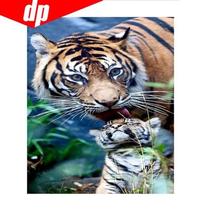 5D DIY Diamond schilderij tijger familie diamant borduurwerk 3D kruissteek handwerken 20X30 gray
