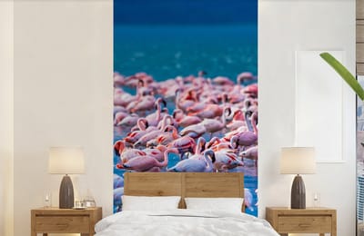 Behang - Fotobehang Flamingo - Water - Tropisch - Water - Roze - Breedte 120 cm x hoogte 240 cm
