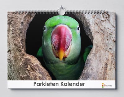Parkieten kalender 35x24 cm | Parkieten verjaardagskalender |Parkieten wandkalender| Kalender 35 x 24 cm