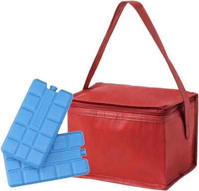 Klein koeltasje - rood - voor 6 blikjes - inclusief 2x koelelementen - Lunch - Medicijnen - Compacte koeltas - 21 x 15 x 15 cm