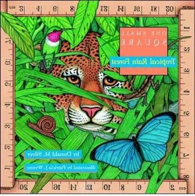 Rain Forest Boek - Natuur Gids - Ecosysteem Ontdekken - Gedetailleerde Illustraties - One Small Square - Full-color
