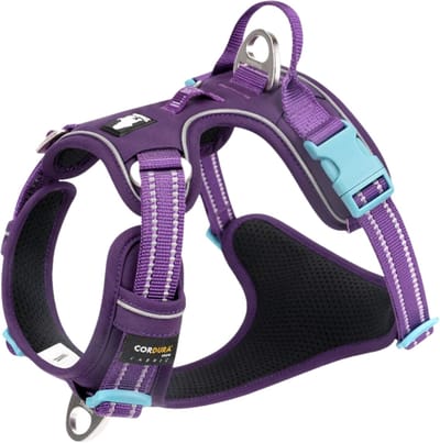 Truelove - Hondentuigje - Hondenharnas - Anti Trek Tuigje - Reflecterend Harnas - 43-56cm - Small - Paars