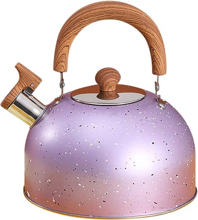 Roestvrijstalen Waterketel - Theepot Kookpan - Snel Water Koken - Fluitend Signaal - 2 Liter Capaciteit - Paars