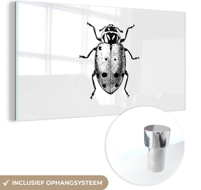 MuchoWow® Glasschilderij 40x20 cm - Schilderij acrylglas - Vintage - Lieveheersbeestje - Insecten - Zwart wit - Foto op glas - Schilderijen