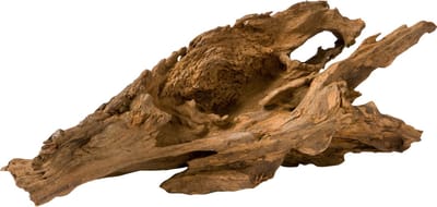 Europet Bernina Decor Jati Echt Hout M - Aquarium - Ornament - 25-45 Cm