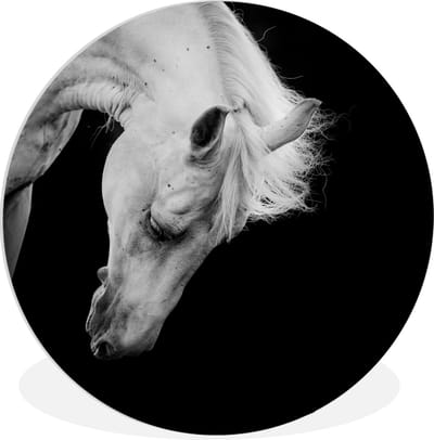 WallCircle - Wandcirkel 90x90 - Paard - Wit - Zwart - Ronde schilderijen woonkamer - Wandbord rond - Muurdecoratie cirkel - Kamer decoratie binnen - Wanddecoratie muurcirkel - Woonaccessoires