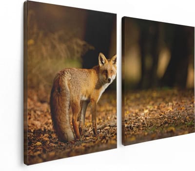 Artaza Canvas Schilderij Tweeluik Vos in het Herfstbos - 120x80 - Foto Op Canvas - Canvas Print