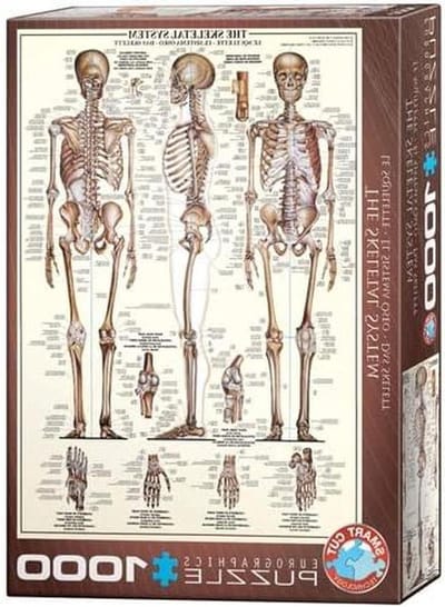 Legpuzzel Skelet - Educatieve Puzzel - Ontspanning Thuis - Inclusief Frame - 68 x 48 cm - Meerdere Kleuren