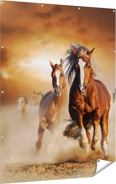 Gards Tuinposter Wilde Paarden in het Zand - 120x160 cm - Tuindoek - Tuindecoratie - Wanddecoratie buiten - Tuinschilderij