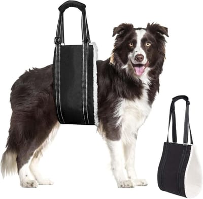 Famanu – Honden draaghulp, verstelbare comfortabele tilriem voor honden, sterk en waterdicht