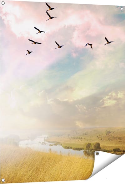 Gards Tuinposter Groep Vogels Vliegen Boven het Gras - 80x100 cm - Tuindoek - Tuindecoratie - Wanddecoratie buiten - Tuinschilderij