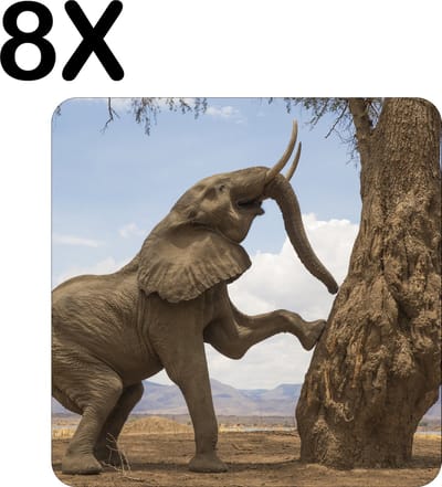 Luxe Placemat - Olifant Klimt in een Boom - Set van 8 Placemats - 50x50 cm - 2 mm dik Vinyl - Anti Slip - Afneembaar