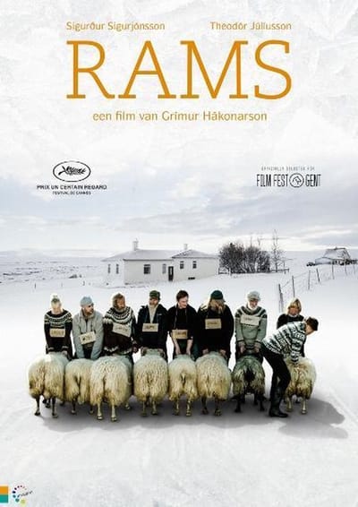 Rams