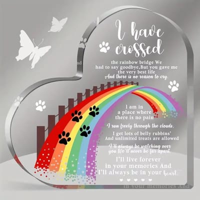 Dieren Gedenk Cadeau Huisdier – Hartvormige Acryl Herinnering bij Verlies van Hond of Kat - Pootafdrukken & Vlinders