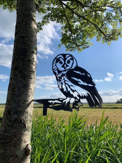 Metalen vogels tuin decoratie - De Bosuil - Decoratie vogels