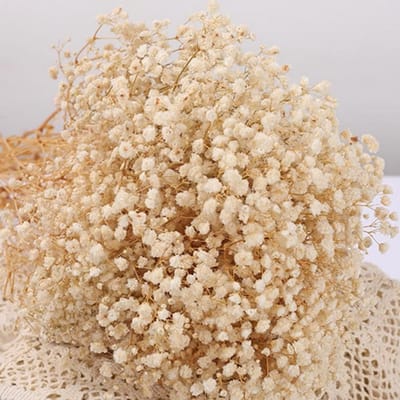 Prachtig Droogbloemenboeket met 2000+ Ivoren Witte Gypsophila Takken voor Bruiloft, Tafelversiering en Feestdecoratie