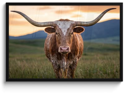 Poster in lijst - Fotolijst 90x60 cm - Posters - Longhorn - Landschap - Zonsondergang - Posterlijst zwart - Decoratie - Wanddecoratie woonkamer - Muurdecoratie slaapkamer
