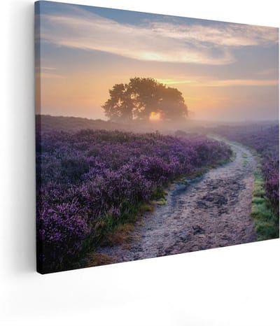 Artaza Canvas Schilderij Zonsopgang Heide - 50x40 cm - Wanddecoratie Pad - Muurdecoratie Bloemen - Kamer Accessoires Landschap