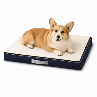 Gloovon® Orthopedisch Hondenkussen 90x70x10 cm - Benchkussen & Hondenbed - 2-in-1 Fleece/Oxford - Afneembare Wasbare Hoes - Waterdichte Binnenvoering - Wit/Blauw