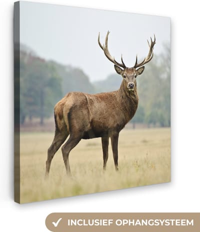 Canvas schilderij 20x20 cm - Wanddecoratie Hert - Dieren - Gewei - Muurdecoratie woonkamer - Slaapkamer decoratie - Kamer accessoires - Schilderijen op canvas