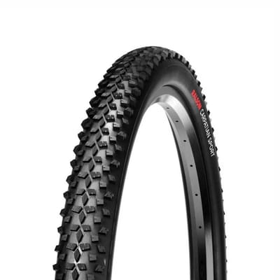 Ralson Carpatian Sport 29´´ X 2.10 Stijve Mtb-band Zilver 29´´ x 2.10