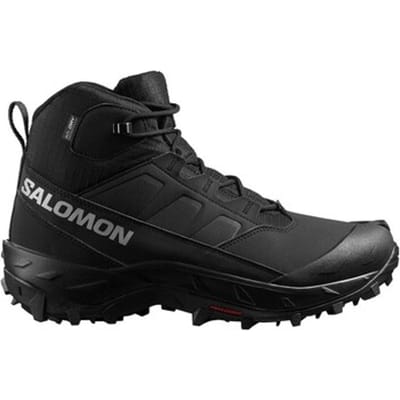 Wandelschoenen Salomon Crosstrak Wp