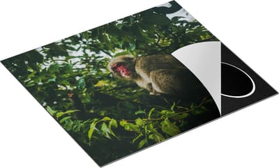 Chefcare Inductie Beschermer Aap in de Boom tussen de Bladeren - 60x50 cm - Afdekplaat Inductie - Kookplaat Beschermer - Inductie Mat