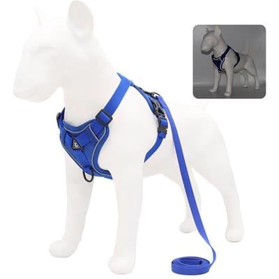 Ensemble harnais et laisse pour chien, sangle de poitrine réglable pour petits et moyens chiens et chats, gilet réfléchissant pour chiots, bouledogue français, York (Blue,M 3.5-5.5 kg) bleu