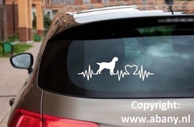 Spinone italiano 3x – autosticker - sticker voor raam auto deur muur laptop - heartbeat - rashondensticker - hondenlijn – hondenriem - Doglove - Abany quality design