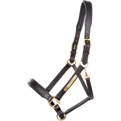 Halsband voor paard Kavalkade Cinta