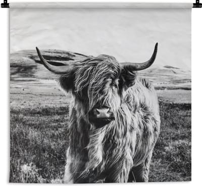 Wandkleed - Wanddoek - Zwart - Wit - Schotse Hooglander - Gras - 180x180 cm - Wandtapijt