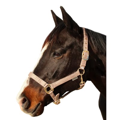 Halster voor paarden Canter Malibu