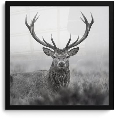 Poster in lijst - Fotolijst 40x40 cm - Posters - Hert - Mistig - Zwart - Wit - Posterlijst zwart - Decoratie - Wanddecoratie woonkamer - Muurdecoratie slaapkamer