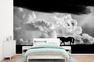 Behang - Fotobehang Silhouet van wild paard tegen stormachtige wolken - Breedte 360 cm x hoogte 240 cm