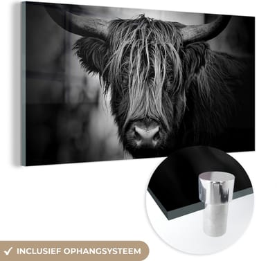 MuchoWow® Glasschilderij 120x60 cm - Schilderij acrylglas - Schotse hooglander - Licht - Portret - Natuur - Foto op glas - Schilderijen