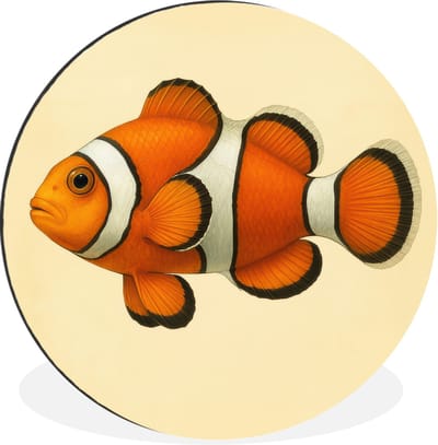 WallCircle - Wandcirkel - Muurcirkel - Vis - Oranje - Strepen - Aluminium - Dibond - 30x30 cm - Binnen en Buiten
