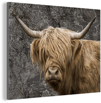 Aluminium schilderij 40x30 cm - Wanddecoratie metaal - Wereldkaart - Dieren - Schotse hooglander - Metalen muurdecoratie woonkamer - Decoratie industrieel - Foto op dibond - Industriële accessoires slaapkamer