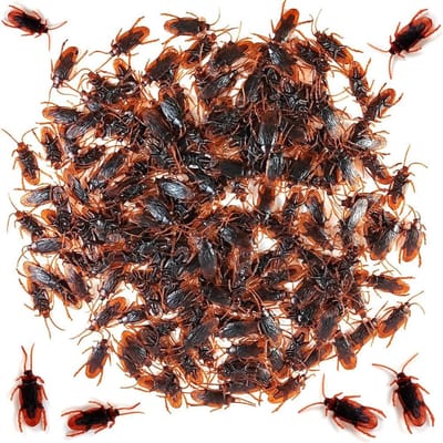 Kunstmatige Nep Kakkerlakken Nieuwigheid Kakkerlak Truc Prop Enge Insecten Realistische Plastic Kevers Grappige Halloween Feest Spoof Decoratie 60pcs